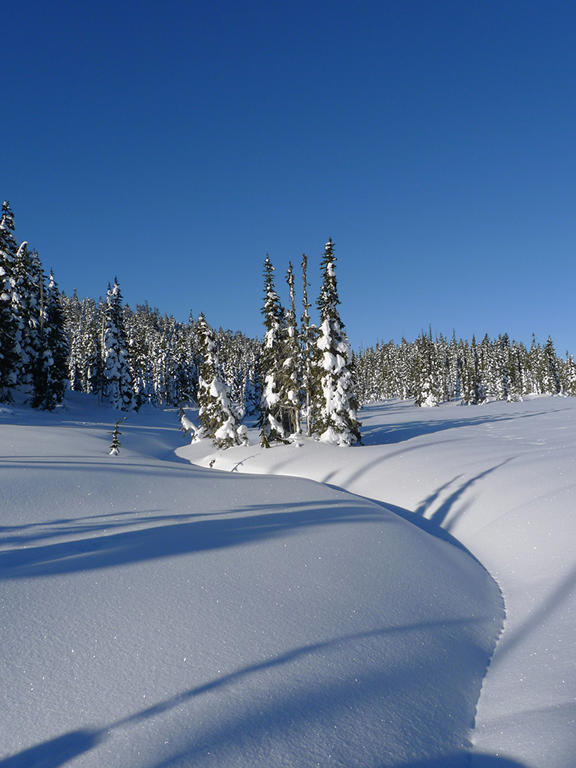 02_john cross_ The meadows in winter